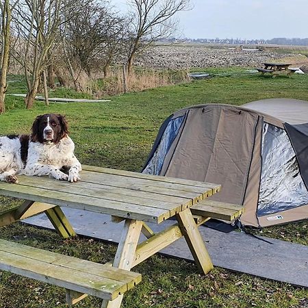 Basic 2P Tent Sotterum Hotel Cornwerd Bagian luar foto