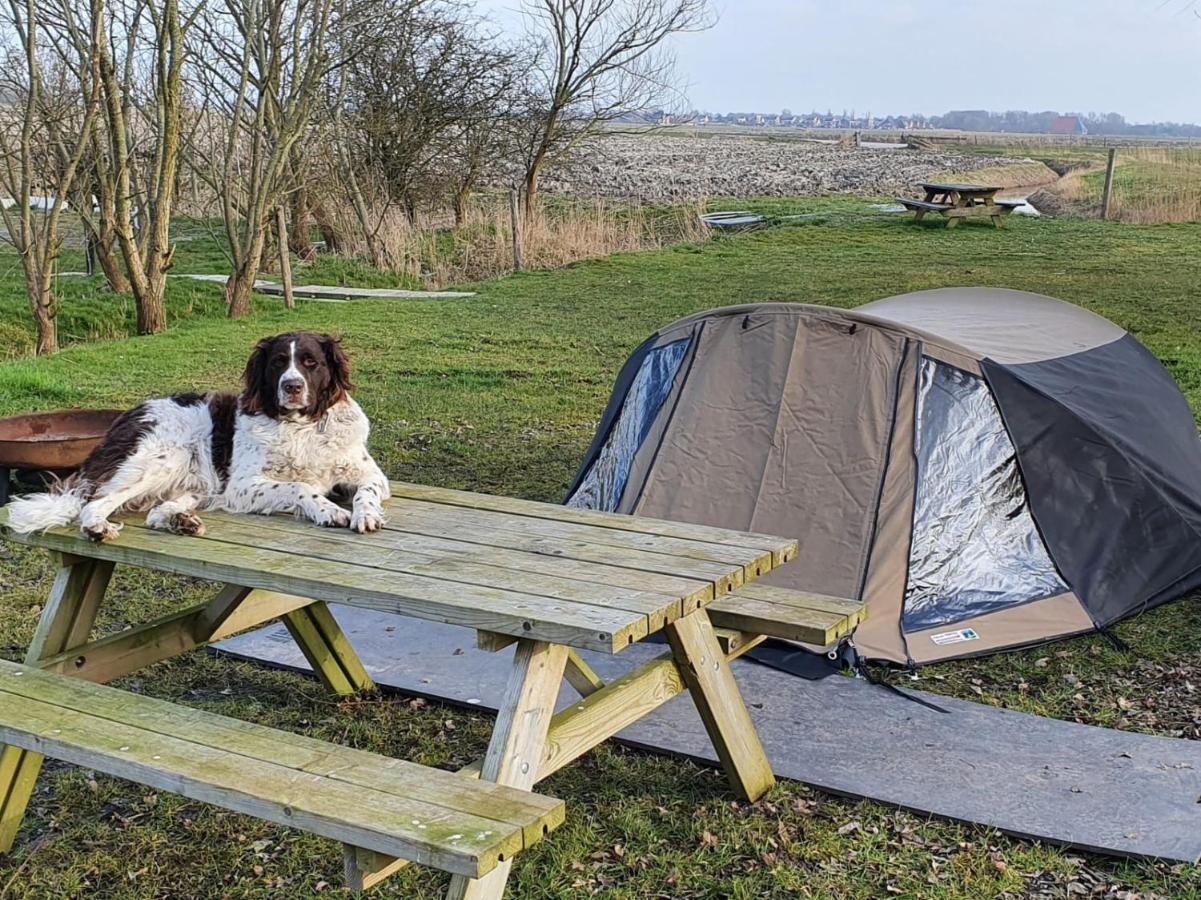 Basic 2P Tent Sotterum Hotel Cornwerd Bagian luar foto